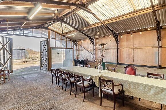 Barn Owl, Oxley Dairy