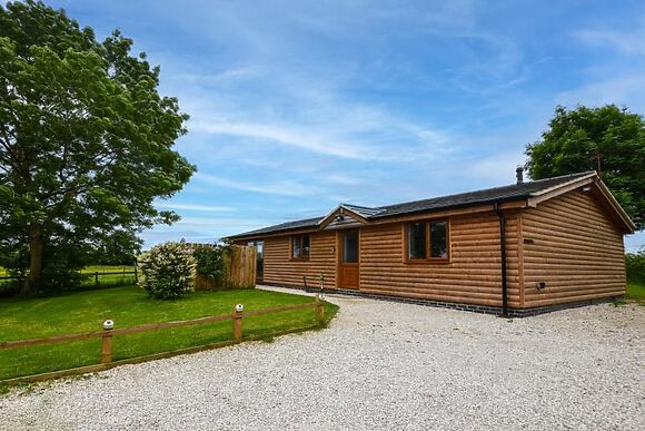 The Hedgehog At Badger Brook