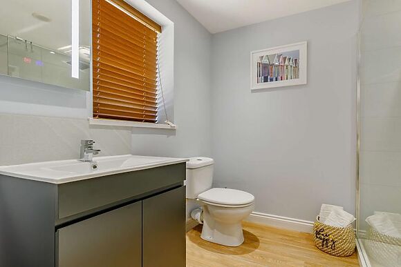 The Hedgehog At Badger Brook