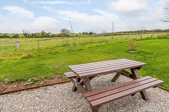 The Hedgehog At Badger Brook