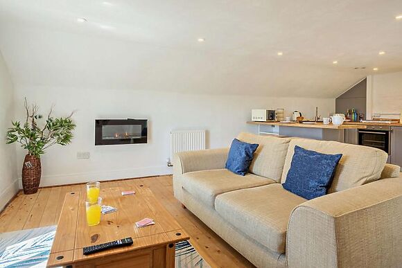 Duddlestone Farm Lambs View