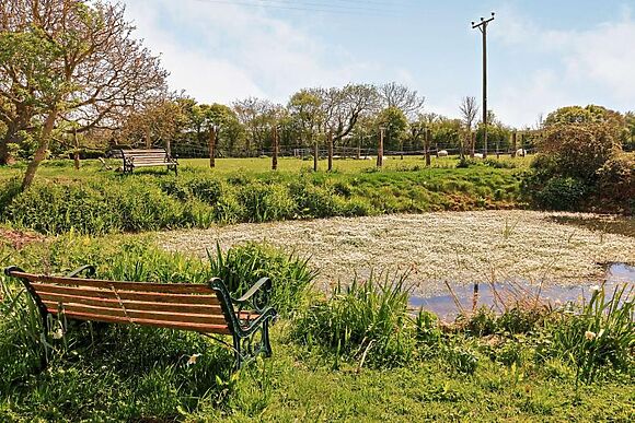 Duddlestone Farm Lambs View