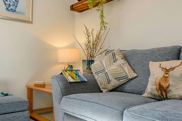 Bwthyn Y Baedd Boar Cottage