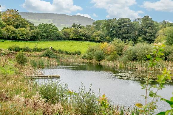 Fulmar Gilestone Farm