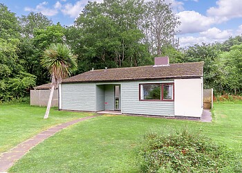Cornish Pine 18