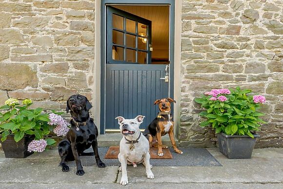 Mulberry Cottage Llandysul