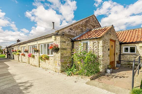 Swift At Mels Cottages