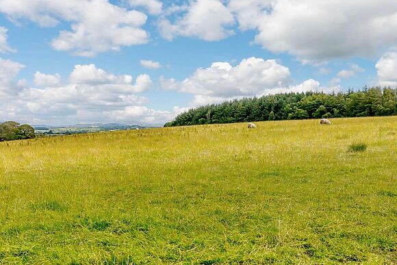 The Studio At Stackwood