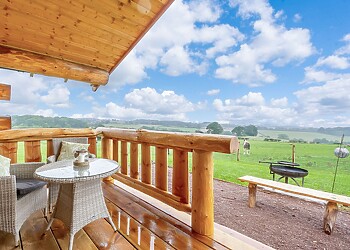 Chestnut Tedstone Log Cabins