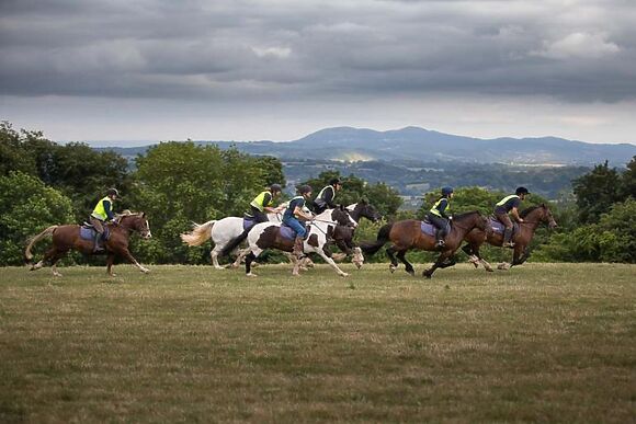 Chestnut Tedstone Log Cabins