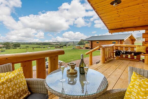 Willow Tedstone Log Cabins