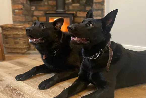 The Old Piggery Barton