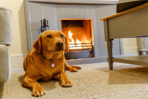 Inglewood Broughton In Furness