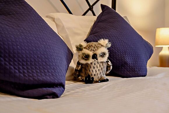 The Barn Fiends Fell Cottages