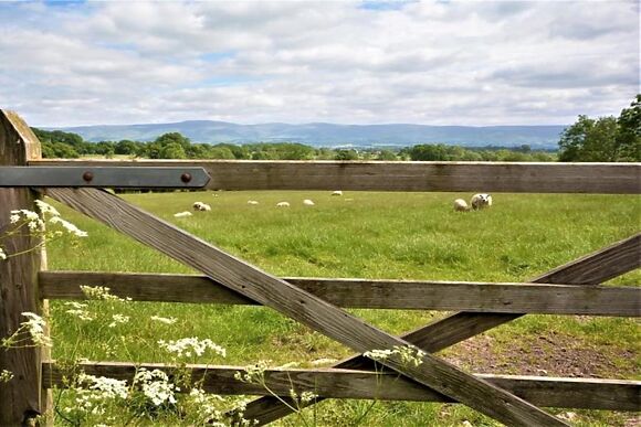 Herdwick Cottage Fiends Fell Cottages