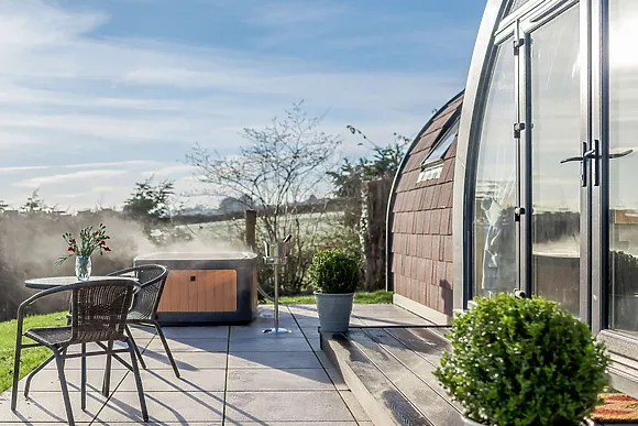 Kingfisher At Manor View