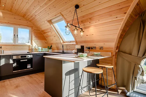 Kingfisher At Manor View