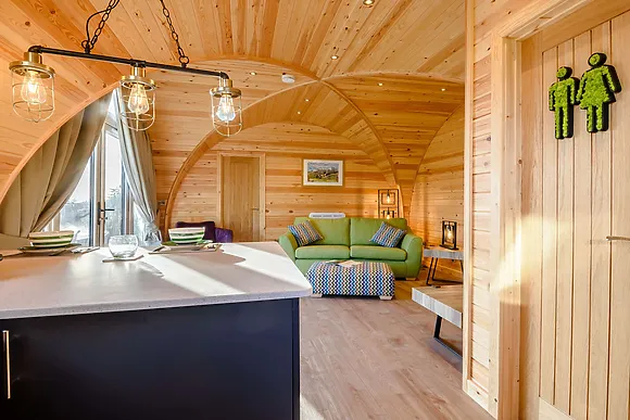 Kingfisher At Manor View