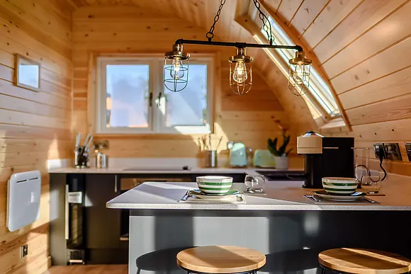 Kingfisher At Manor View