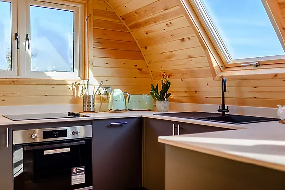 Kingfisher At Manor View