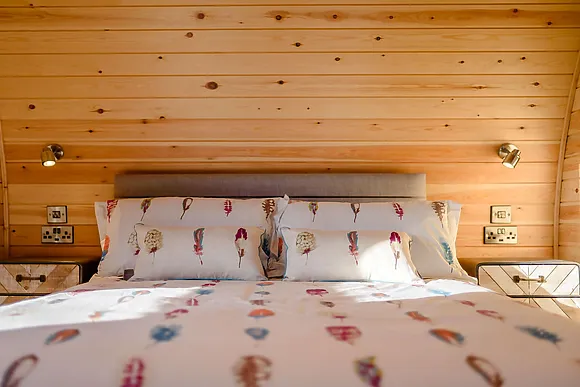 Kingfisher At Manor View