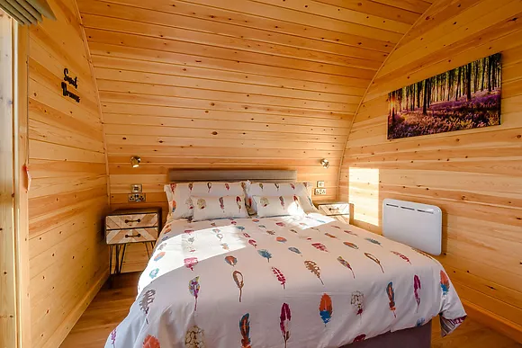 Kingfisher At Manor View