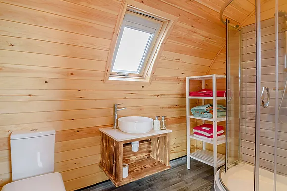 Kingfisher At Manor View