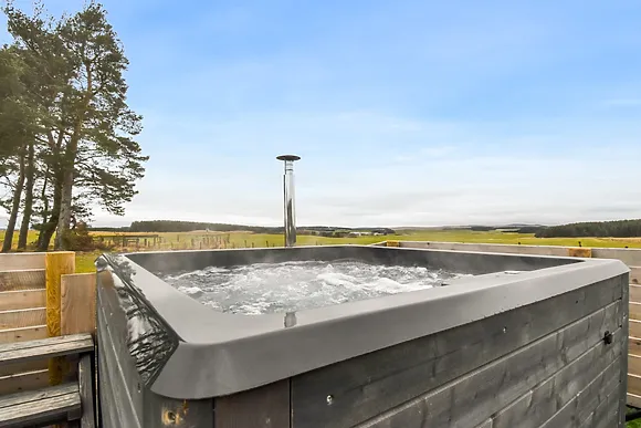 The Dog House Clyde Valley