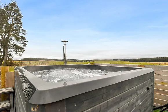 The Alpaca Barn Clyde Valley