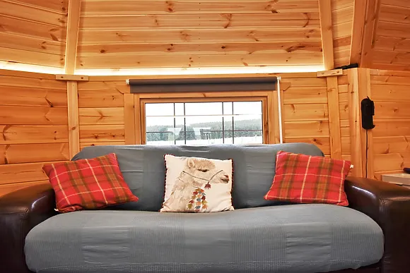 The Alpaca Barn Clyde Valley