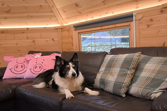 The Pig Sty Clyde Valley