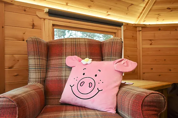 The Pig Sty Clyde Valley