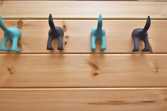 The Pig Sty Clyde Valley