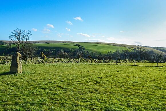 Mile And A Half Cottage