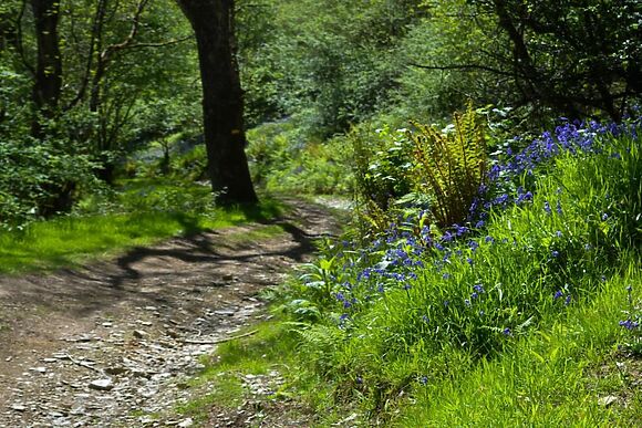 Mile And A Half Cottage