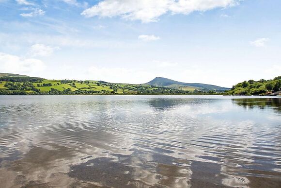 The Little Owl Hideaway