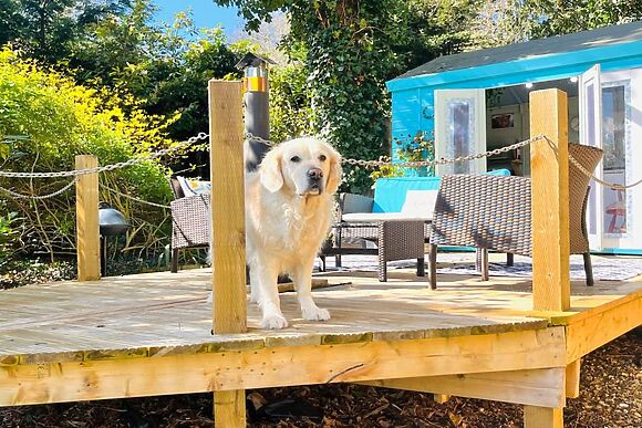 The Little Owl Hideaway