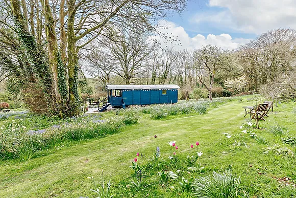 Daffodil Hut