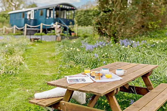 Daffodil Hut