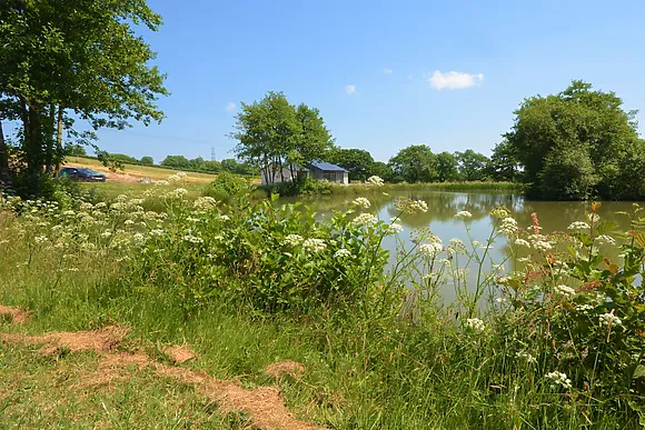 Kingfishers Retreat