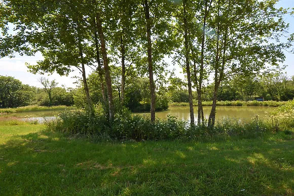 Kingfishers Retreat