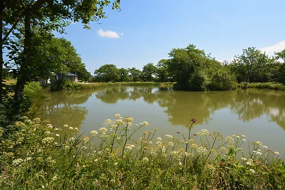 Kingfishers Retreat