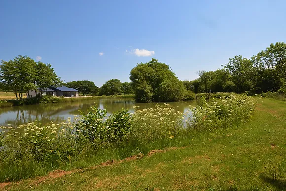 Kingfishers Retreat