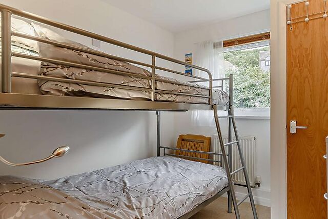 Bumblefish