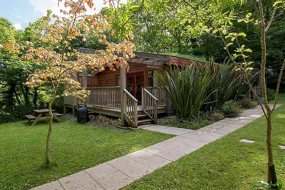 Robin At Rosehill Lodges
