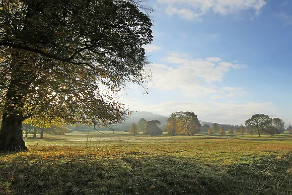 Bilberry Cottage Crich