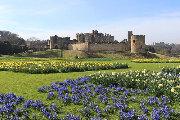 Alnholme