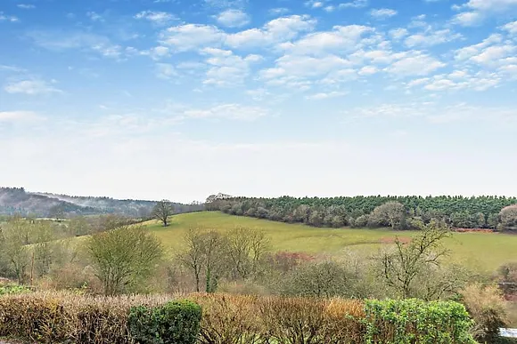 Rose Cottage Cow Shed