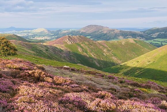 Joe The Buck Eco Cottage