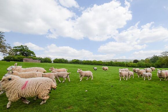 Meal House At Tugford Farm